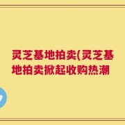 灵芝基地拍卖(灵芝基地拍卖掀起收购热潮