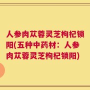 人参肉苁蓉灵芝枸杞锁阳(五种中药材：人参肉苁蓉灵芝枸杞锁阳)