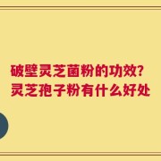 破壁灵芝菌粉的功效？灵芝孢子粉有什么好处