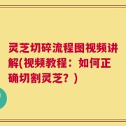 灵芝切碎流程图视频讲解(视频教程：如何正确切割灵芝？)