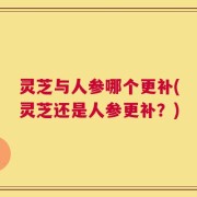 灵芝与人参哪个更补(灵芝还是人参更补？)