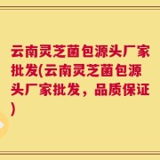 云南灵芝菌包源头厂家批发(云南灵芝菌包源头厂家批发，品质保证)
