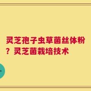 灵芝孢子虫草菌丝体粉？灵芝菌栽培技术