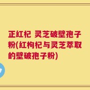 正红杞 灵芝破壁孢子粉(红枸杞与灵芝萃取的壁破孢子粉)