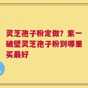 灵芝孢子粉定做？紫一破壁灵芝孢子粉到哪里买最好