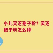 小儿灵芝孢子粉？灵芝孢子粉怎么种