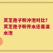 灵芝孢子粉冲泡对比？灵芝孢子粉开水还是温水泡