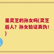 是灵芝的孙女吗(灵芝后人？孙女验证真伪！)
