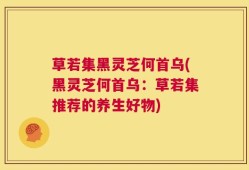 草若集黑灵芝何首乌(黑灵芝何首乌：草若集推荐的养生好物)