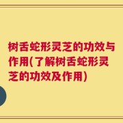 树舌蛇形灵芝的功效与作用(了解树舌蛇形灵芝的功效及作用)