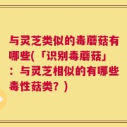 与灵芝类似的毒蘑菇有哪些(「识别毒蘑菇」：与灵芝相似的有哪些毒性菇类？)