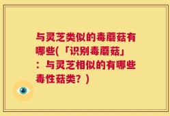 与灵芝类似的毒蘑菇有哪些(「识别毒蘑菇」：与灵芝相似的有哪些毒性菇类？)