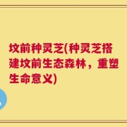 坟前种灵芝(种灵芝搭建坟前生态森林，重塑生命意义)