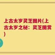 上古太岁灵芝图片(上古太岁之秘：灵芝图赏)