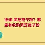 快递 灵芝孢子粉？哪里有收购灵芝孢子粉