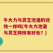 牛大力与灵芝泡酒的功效一样吗(牛大力泡酒与灵芝同样有好处？)