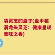 装灵芝的盘子(盘中装满龙头灵芝：健康呈现美味之香)