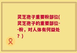灵芝孢子重要粉部位(灵芝孢子的重要部位--粉，对人体有何益处？)