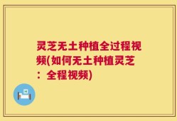 灵芝无土种植全过程视频(如何无土种植灵芝：全程视频)