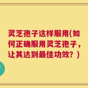 灵芝孢子这样服用(如何正确服用灵芝孢子，让其达到最佳功效？)