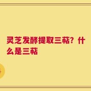 灵芝发酵提取三萜？什么是三萜