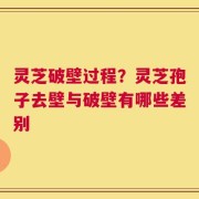 灵芝破壁过程？灵芝孢子去壁与破壁有哪些差别