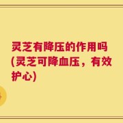 灵芝有降压的作用吗 (灵芝可降血压，有效护心)