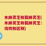 木蹄灵芝和裂蹄灵芝(木蹄灵芝和裂蹄灵芝：功效和区别)