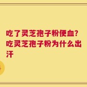 吃了灵芝孢子粉便血？吃灵芝孢子粉为什么出汗