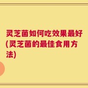 灵芝菌如何吃效果最好(灵芝菌的最佳食用方法)