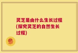 灵芝是由什么生长过程(探究灵芝的自然生长过程)