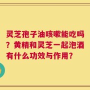灵芝孢子油咳嗽能吃吗？黄精和灵芝一起泡酒有什么功效与作用？