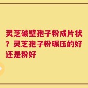 灵芝破壁孢子粉成片状？灵芝孢子粉碾压的好还是粉好
