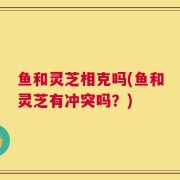 鱼和灵芝相克吗(鱼和灵芝有冲突吗？)