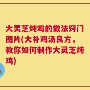 大灵芝炖鸡的做法窍门图片(大补鸡汤良方，教你如何制作大灵芝炖鸡)