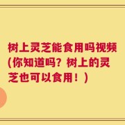 树上灵芝能食用吗视频(你知道吗？树上的灵芝也可以食用！)