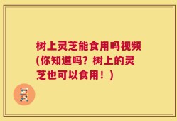 树上灵芝能食用吗视频(你知道吗？树上的灵芝也可以食用！)