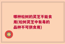 哪种松树的灵芝不能食用(松树灵芝中有毒的品种不可供食用)