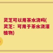 灵芝可以用茶水浇吗(灵芝：可用于茶水浇灌植物)