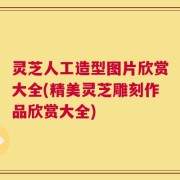 灵芝人工造型图片欣赏大全(精美灵芝雕刻作品欣赏大全)