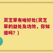 灵芝草有啥好处(灵芝草的益处及功效，你知道吗？)