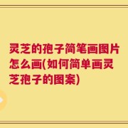 灵芝的孢子简笔画图片怎么画(如何简单画灵芝孢子的图案)