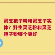 灵芝孢子粉和灵芝子实体？野生灵芝粉和灵芝孢子粉哪个更好