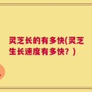 灵芝长的有多快(灵芝生长速度有多快？)