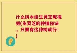 什么树木能生灵芝呢视频(生灵芝的种植秘诀，只要有这种树就行！)