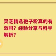 灵芝精选孢子粉真的有效吗？经验分享与科学解析？