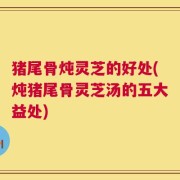猪尾骨炖灵芝的好处(炖猪尾骨灵芝汤的五大益处)