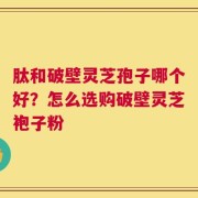 肽和破壁灵芝孢子哪个好？怎么选购破壁灵芝袍子粉