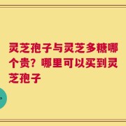 灵芝孢子与灵芝多糖哪个贵？哪里可以买到灵芝孢子