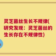 灵芝菌丝生长不规律(研究发现：灵芝菌丝的生长存在不规律性)